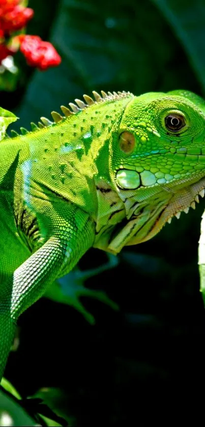 Vibrant green iguana amidst lush leaves in a tropical setting.