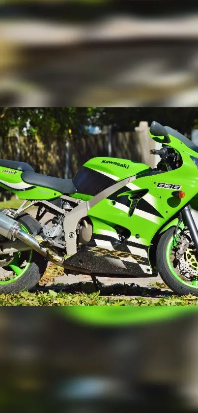 Green Kawasaki motorcycle parked outdoors in sunlight.