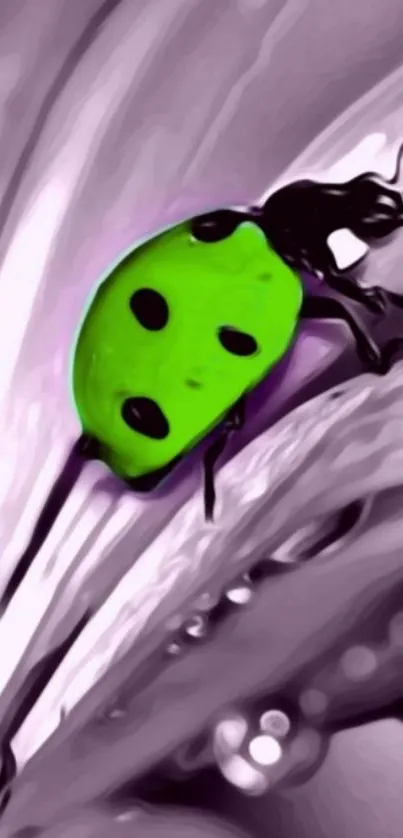 Green ladybug on purple flower petal wallpaper.