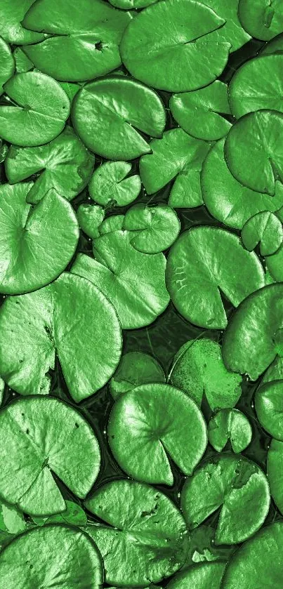 Vibrant green leaves creating an abstract pattern for mobile wallpaper.