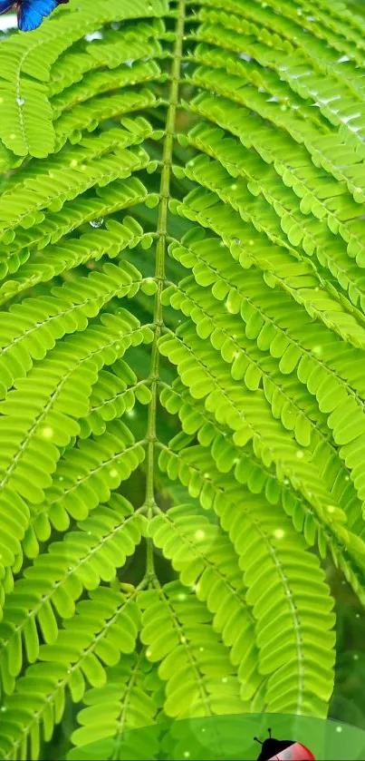 Green leafy pattern with butterfly and ladybug accent.