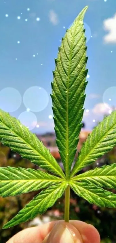 A vibrant green leaf held up against a clear blue sky with fluffy clouds.