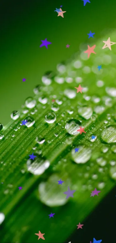 Close-up of a green leaf with water droplets for a refreshing wallpaper.