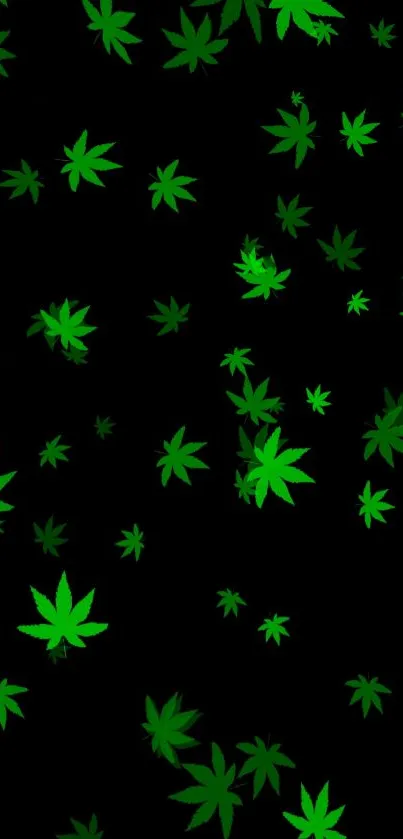 Vibrant green leaves on a black background wallpaper.