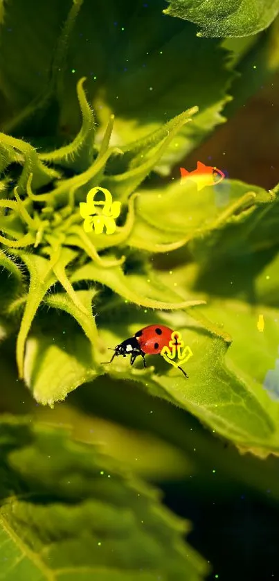 A lush green leaf with a red ladybug and colorful icons on it.