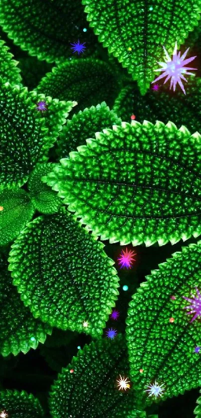 Close-up of vibrant green leaves creating a natural and refreshing background.