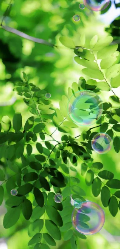 Vibrant green leafy mobile wallpaper with bubbles