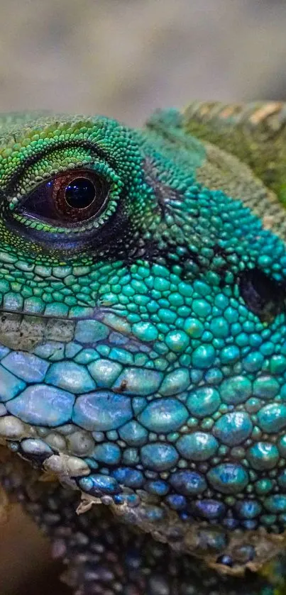 Close-up of a green lizard with vibrant scales.