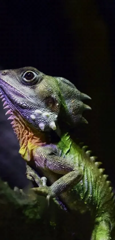 Green lizard on branch in forest with vibrant colors.