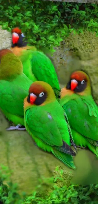 Vibrant green lovebirds perched on foliage.