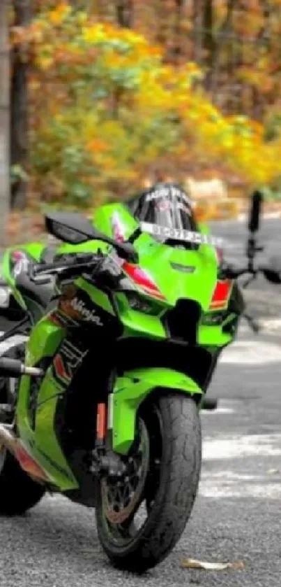 Green motorcycle in autumn forest.