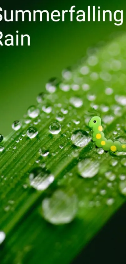 Green leaf wallpaper with raindrops and a caterpillar.