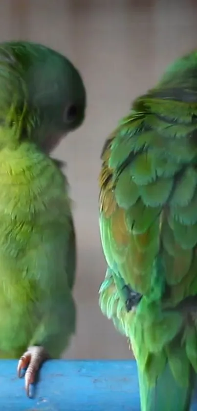 Two vibrant green parrots perched together in a detailed nature scene.