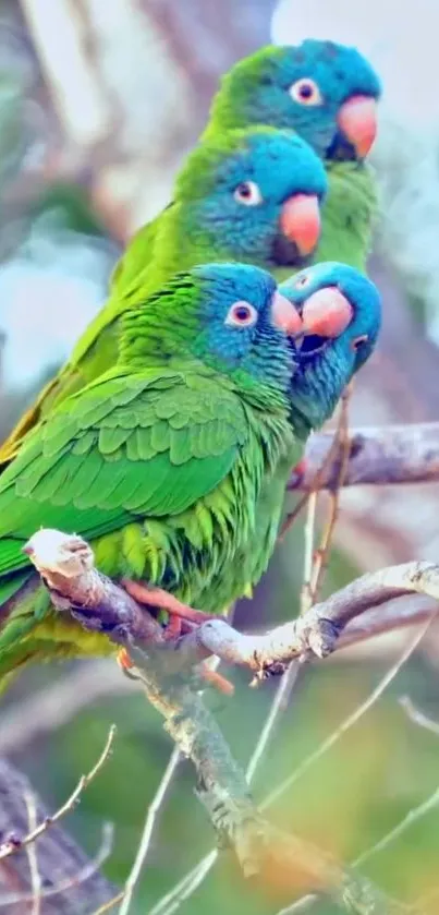 Green parrots perched on branch with vibrant feathers.