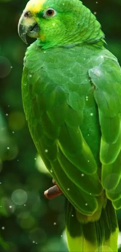A vibrant green parrot perched on a branch with a blurred green background.