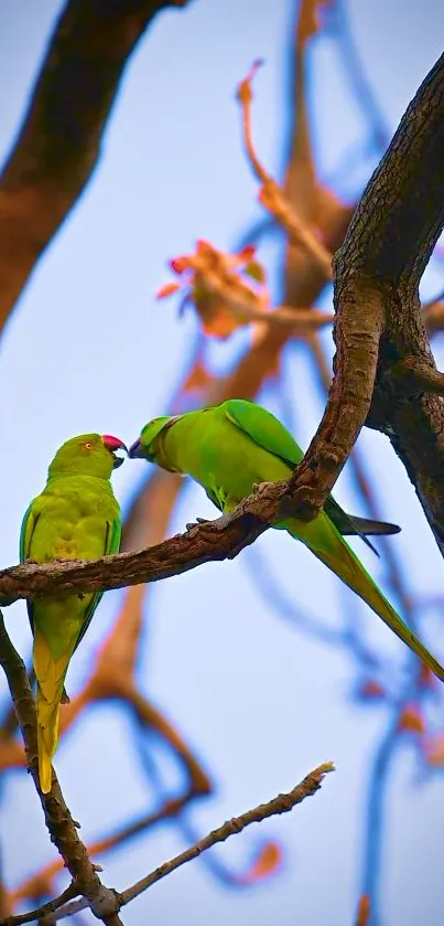 Two green parrots on a tree branch with a clear sky.