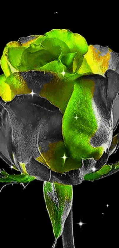 Green rose on a black background, highlighting elegance and contrast.