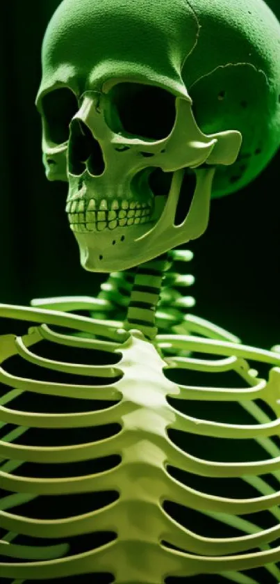 Green skeleton with eerie, vibrant design against a dark background.