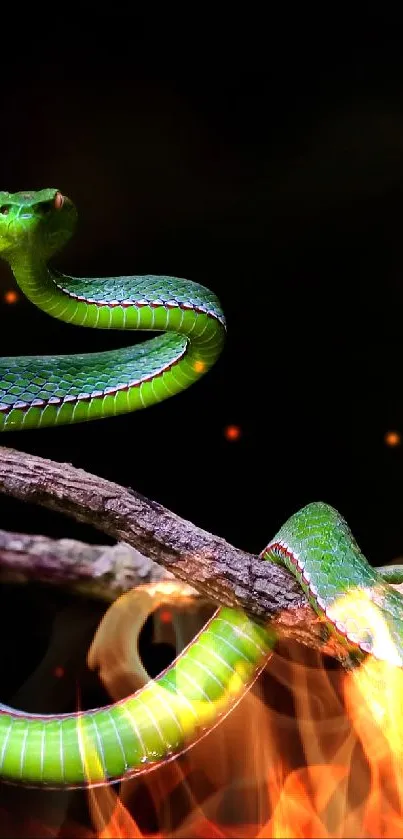 Vibrant green snake on branch wallpaper