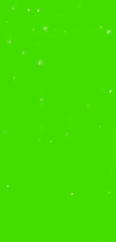 Bright green wallpaper with starry speckles.