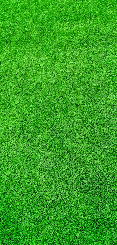 Vibrant green textured wallpaper for mobile devices.