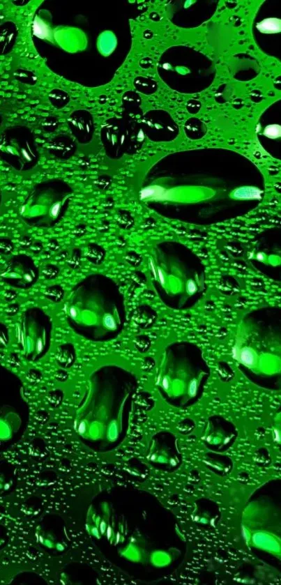 Green wallpaper with water droplets design for mobile.