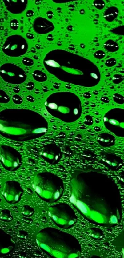 Green water droplets on a vibrant wallpaper