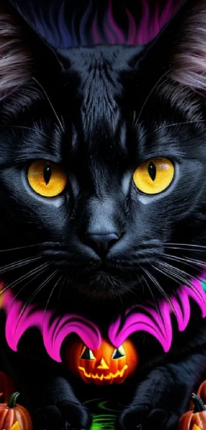 Black cat with vibrant colors and pumpkins, ideal for Halloween wallpaper.