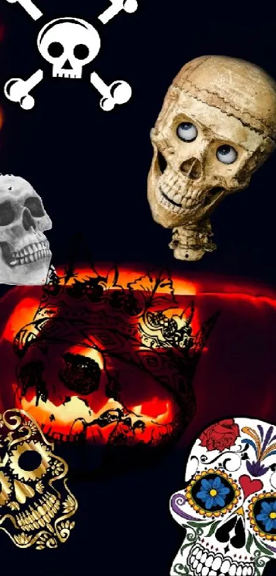 Colorful Halloween skulls with dark background.