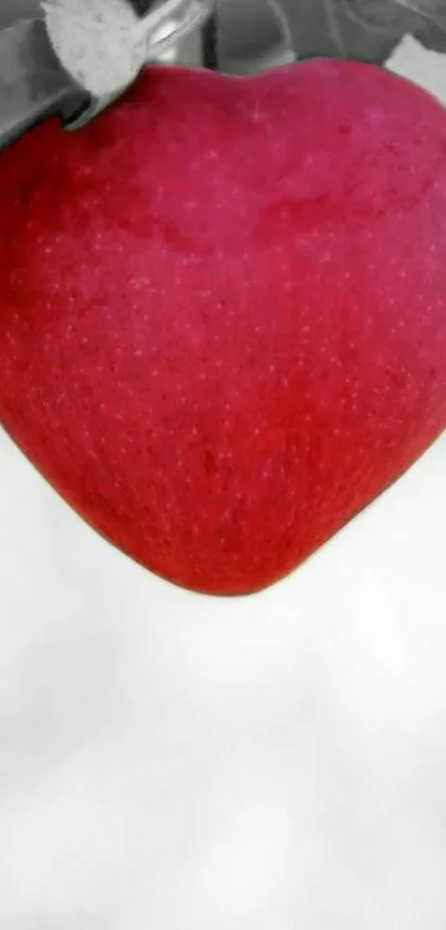 Heart-shaped red apple on grayscale background wallpaper.