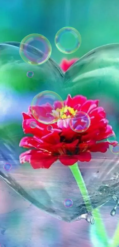 Heart-shaped water splash with a red flower on cyan background.