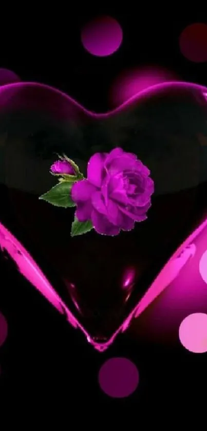 Heart-shaped rose with vibrant purple hue on a black background.