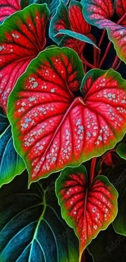 Colorful heart-shaped leaves wallpaper with red and green hues.