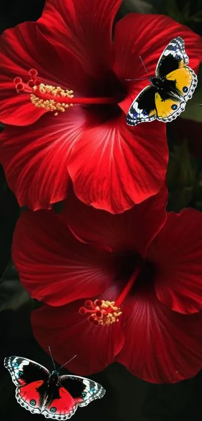 Vibrant hibiscus flowers with butterflies in a dark, natural setting.