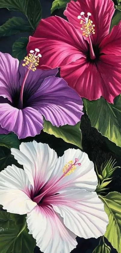 Artistic illustration of vibrant hibiscus blooms.