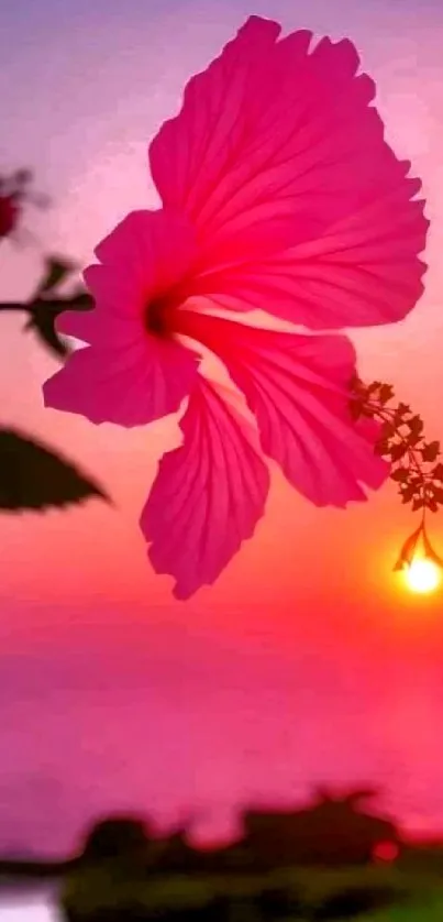 Vibrant pink hibiscus against sunset on a phone wallpaper.