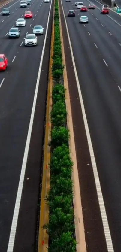 Dynamic highway with moving cars and road dividers.