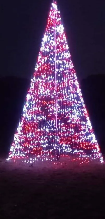 Red and white lights Christmas tree against dark sky.