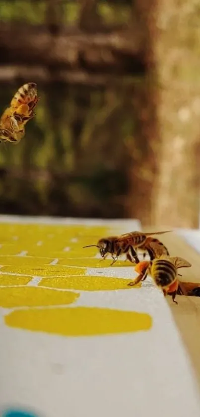 Close-up of honeybees on vibrant surface.