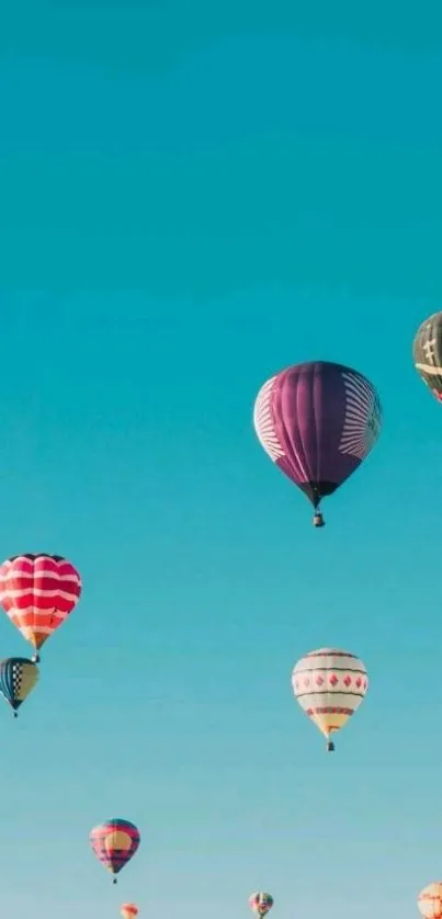 Colorful hot air balloons float in a sunny blue sky background.