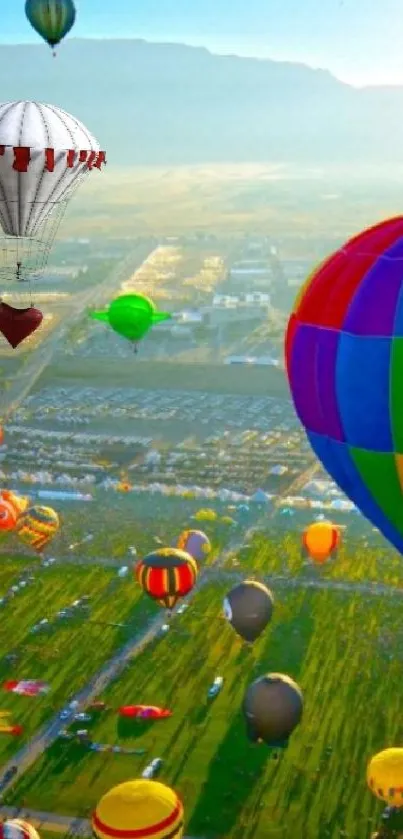 Colorful hot air balloons soar over a green landscape with clear skies.