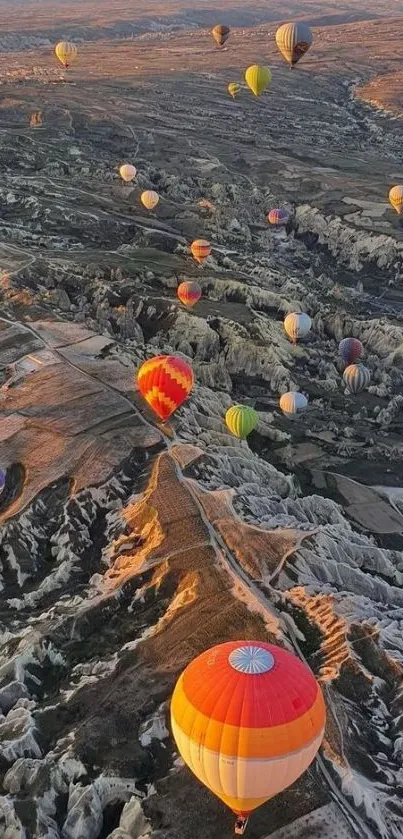 Colorful hot air balloons over rocky landscape at dusk.