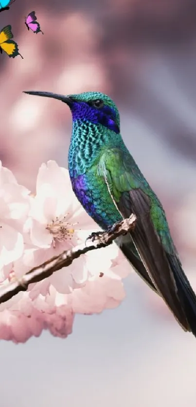 Colorful hummingbird on blossoms with butterflies in the background.