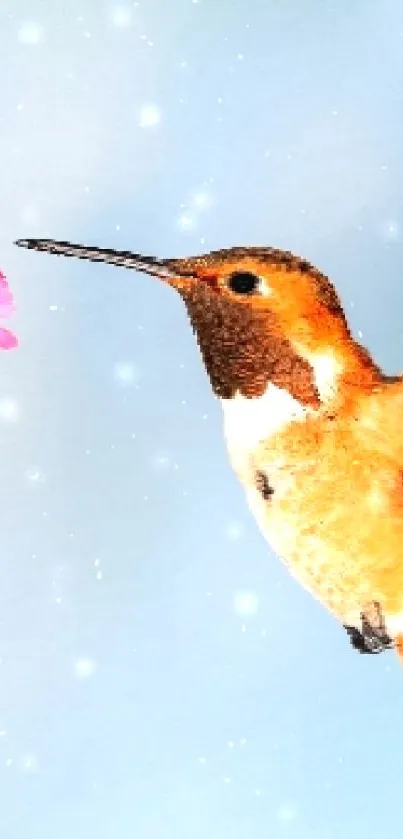 Hummingbird near pink flowers with a blue sky background.