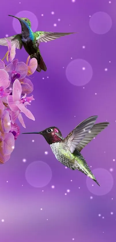 Vibrant mobile wallpaper with orchids and hummingbirds on purple background.