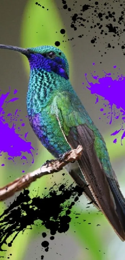 Vibrant green hummingbird with purple accents on a branch.