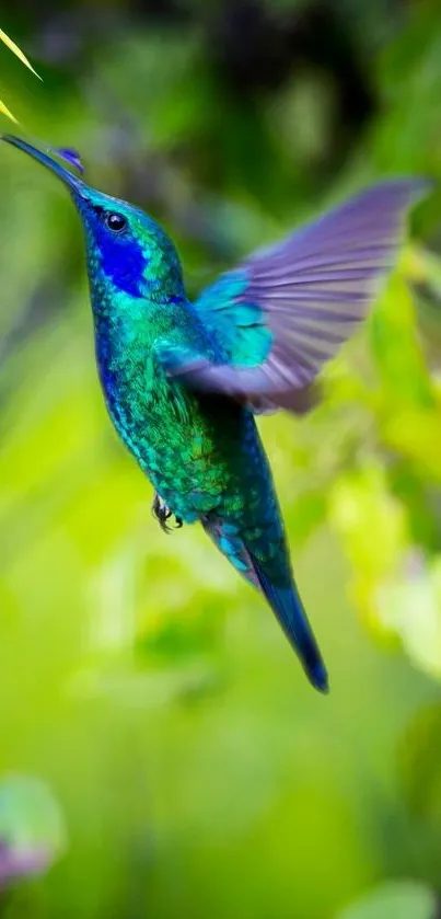 A vibrant hummingbird with colorful feathers in flight against a green backdrop.