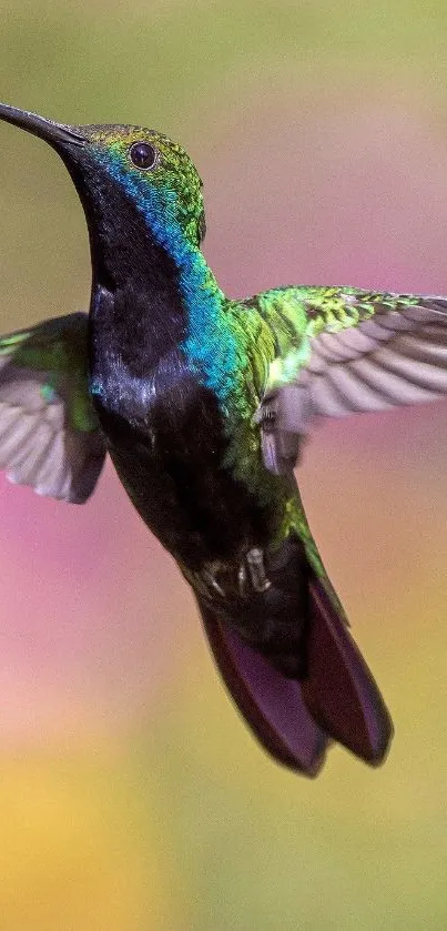 A vibrant green hummingbird in flight against a blurred background.