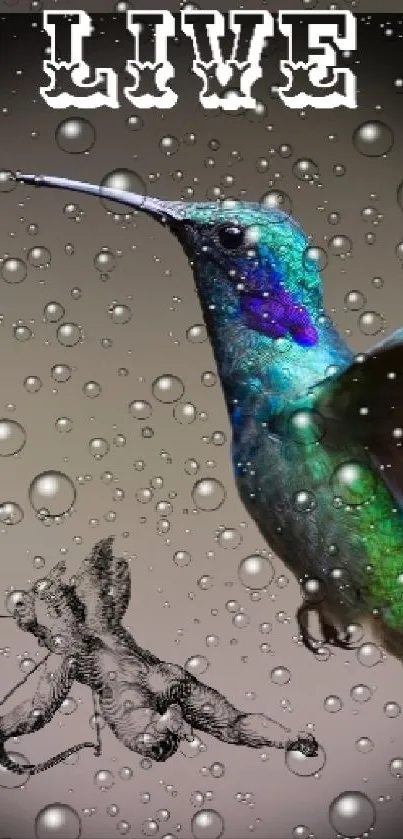Vibrant hummingbird in motion on a live wallpaper.