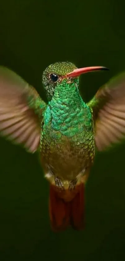 Vibrant green hummingbird in mid-flight with dark background.